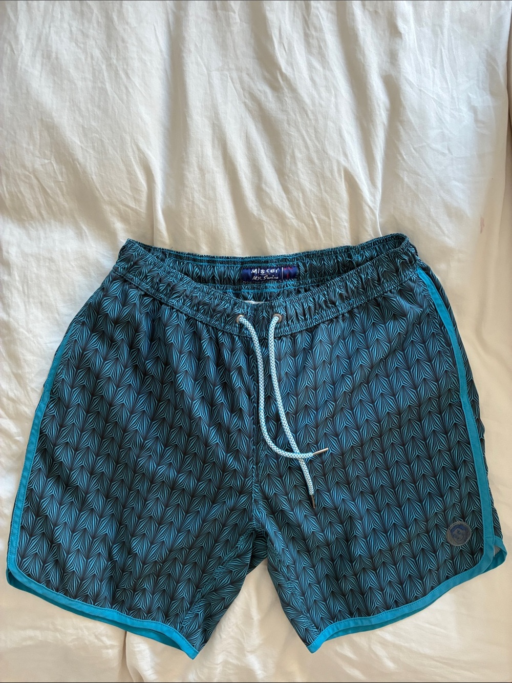 Mister Men’s Swim Shorts